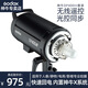 神牛（Godox） dp600W三代攝影燈影室專業(yè)閃光燈套裝拍照補(bǔ)光燈人像模特家具服裝大功率影棚燈 DP400III單燈【標(biāo)配】 佳能版