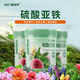 施可豐硫酸亞鐵花肥料復(fù)合肥水溶通用養(yǎng)花蘭花茶花茉莉鐵樹喜酸植物專用