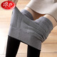 浪莎打底褲女秋冬季加絨加厚高腰彈力顯瘦東北棉褲大碼保暖褲