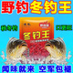 冬季釣魚(yú)餌料冬釣王餌料野釣冬釣鯽魚(yú)料鯉魚(yú)草魚(yú)鳊魚(yú)羅非餌魚(yú)飼料 冬釣王【1袋裝】絕不空軍