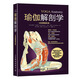 瑜伽解剖學(xué)（全彩圖解第2版）(人郵體育出品)  