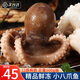 尚致鮮活八爪魚(yú)冷凍小八爪魚(yú)去牙小章魚(yú)八帶海鮮水產(chǎn) 【1斤】八爪魚(yú) 500g(凈重)  *1包