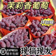 順豐茉莉香葡萄當季時(shí)令孕婦水果新鮮采摘水晶無(wú)籽紅提 5斤精選果 2斤
