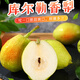 正宗新疆庫爾勒香梨 當(dāng)季應(yīng)季新鮮純天然梨子 薄皮爆甜特級(jí)生鮮 4-5斤裝【一級(jí)單果100g起