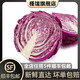 槿饈紫甘藍650g紫包菜紫色球生菜紅紫椰菜新鮮沙拉食材 紫甘藍650g