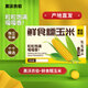稻梁菽 黑沃農(nóng)伯鮮食糯玉米禮盒 10穗