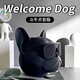 添祺藍(lán)牙音箱音響創(chuàng)意生日禮物結(jié)婚周年紀(jì)念團(tuán)建送員工送男生送男朋友兄弟黑科技情侶禮物高級(jí)感小禮品 磨砂黑色