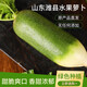 牌農(nóng)業(yè) 高檔水果蘿卜  山東濰坊綠色生鮮蘿卜 濰坊生吃蘿卜禮盒裝 普通裝(8根)