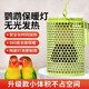 派樂(lè )特鸚鵡保溫燈蘆丁雞鳥(niǎo)用無(wú)光陶瓷防燙防咬取暖倉鼠蜜袋鼯鳥(niǎo)籠加熱燈