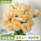 云南鮮花批發(fā)品質(zhì)玫瑰百合水養(yǎng)鮮切花送女友水養(yǎng)鮮花源頭直發(fā) 香檳（蜜桃雪山）-20支 【任選2件—不收運(yùn)費(fèi)】