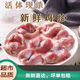 雞胗5.4斤活殺批發(fā)新鮮雞胗雞胃雞肫火鍋燒烤材料凍品1.8斤 5斤雞胗帶小肚批發(fā)