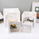 歐斯若 2個(gè)正方形禮品袋 櫥窗透明袋 大號加寬禮物袋 鮮花束包裝手提袋 白色約30*30*30cm（2個(gè)/包）