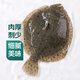 鮮活多寶魚450-550g/條