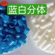 【極速發(fā)貨】糯米明膠空膠囊殼  膠囊外殼皮透明口服食用 膠囊空心可裝灌裝任何粉 0號(hào)藍(lán)白分體一千粒(勺子)