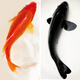 長(cháng)尾大紅草金魚(yú)鳳尾活魚(yú)冷水觀(guān)賞魚(yú)好養耐活淡水魚(yú)紅草魚(yú)短尾草金 23-25cm大紅草2條+黑金錦鯉1條