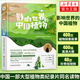 影響世界的中國植物  圖文并茂地探訪(fǎng)30余種從遠古走來(lái)改變人類(lèi)命運乃至整個(gè)地球的中國植物在美的享受中