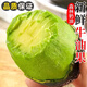 果果汐牛油果新鮮水果云南牛油果當(dāng)季國(guó)產(chǎn)鱷梨孕婦水果 2個(gè)裝
