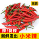 辰實(shí)【現(xiàn)摘】四川小米辣 新鮮紅辣椒 朝天椒 做泡椒 3斤