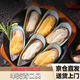 去半殼青口貝速凍藍(lán)口貝綠唇貽貝海虹冷凍貝類海鮮鮮活去半殼生鮮 青口貝500G/包 16-20個(gè)