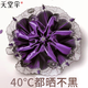 天堂傘防曬傘防紫外線防曬指數(shù)50+晴雨傘黑膠兩用三折疊便攜太陽(yáng)傘女 紫色【傘面114，傘下110CM】 8骨