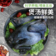 密農(nóng)人家新鮮烏雞  雜糧喂養(yǎng)土雞 農(nóng)家烏雞 整雞雞肉急凍鎖鮮烏骨雞850g