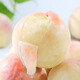 陽山正宗陽山水蜜桃 無錫桃子毛桃 當(dāng)季新鮮水果生鮮禮盒 送禮推薦 甄選4-5兩12個(gè)禮盒裝 凈重4.8斤+