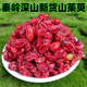 碑林秦嶺野生特山茱萸無硫中藥材山萸肉功效與作用茶泡水煲湯無硫磺 秦嶺野生山茱萸【500g】