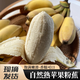 青惠悠廣西自然熟蘋果蕉香蕉小米奶焦粉糯米丑芭蕉現(xiàn)摘海南新鮮水果整箱 蘋果粉蕉 2斤