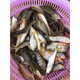 安峰山小河魚(yú)河雜魚(yú)河鮮小溪魚(yú)山坑魚(yú)味鮮原生態(tài)5斤一份