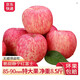 柏果瑞【順豐快遞】甘肅靜寧蘋果 紅富士蘋果新鮮脆甜甘肅蘋果 帶箱10斤裝果徑85-95mm特大果