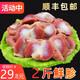 雞胗新鮮冷凍生鮮雞肫冰鮮雞胃燒烤鹵味炒菜新鮮食材 雞胗 4斤裝