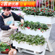 田間小徑陽(yáng)臺種菜盆多層立體種菜花架子家庭蔬菜種植專(zhuān)用箱長(cháng)方形花盆頂樓 【2套組合】三層種菜架 白色