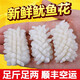 漁人百味 冷凍長腿八爪魚1000g海鮮水產(chǎn)魷魚爆頭鮮活火鍋燒烤食材魷魚須1 2000g 冷凍魷魚花