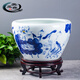 奧亞森景德鎮手繪青花瓷缸落地門(mén)?？蛷d養魚(yú)缸戶(hù)外庭院大水缸睡蓮荷花缸 青花荷花特大號直徑73CM高53CM