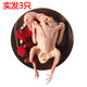 芮瑞 鴿子肉 新鮮宰殺乳鴿 3只裝 燒烤食材 殺后300g/只 生鮮冷凍