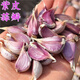 民樂紫皮大蒜甘肅民樂紫皮蒜瓣干蒜5斤裝新鮮紅多瓣蒜頭蒜瓣種子整箱非山東 紫皮大蒜中大瓣 500g