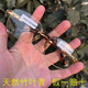 原石記 天然水晶眼鏡竹葉青石頭鏡男士無(wú)框東海原石太陽(yáng)鏡清涼養(yǎng)眼護(hù)目鏡石頭眼鏡 東海原石+國(guó)檢證書 金色鏡架-方圓款
