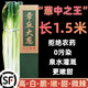 御農(nóng)優(yōu)品正宗山東章丘繡惠本地大梧桐大蔥蔥王新鮮3斤5斤9斤高白脆甜禮盒 【蔥王9斤帶葉】1.5米禮盒裝