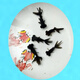 AIPHAROW金魚(yú)活體觀(guān)賞魚(yú)活體小金魚(yú)冷水魚(yú)金魚(yú)苗活體淡水國粹金魚(yú)寵物魚(yú) 黑龍晴4-6CM3條