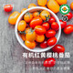 有機櫻桃番茄現(xiàn)摘新鮮云南農(nóng)場紅黃小西紅柿800g約60枚 800g
