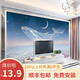 墨巖 客廳沙發(fā)電視背景墻紙簡(jiǎn)約現(xiàn)代墻布臥室北歐定制影視自粘壁紙 來(lái)圖定制