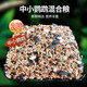 冰海精靈 中小型鸚鵡鳥(niǎo)糧黃谷子混合糧食五色黍子小太陽(yáng)玄鳳鸚鵡虎皮牡丹鸚鵡營(yíng)養糧 專(zhuān)用鳥(niǎo)糧搭配好營(yíng)養飼料2斤