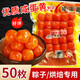 冠君咸海鴨蛋黃制品粒烘焙生蛋黃包粽子專用咸蛋黃批發(fā)蛋黃酥月餅端午 50枚咸蛋黃