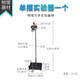 思齊（SiQi）單擺實驗器初高中物理力學實驗器材儀器單個兩只裝可調(diào)節(jié)擺長探究單擺的運動規(guī)律教具儀器 單擺實驗器（單只裝）
