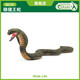 COLLECTA英國CollectA我你他仿真野生昆蟲(chóng)爬蟲(chóng)模型玩具認知88230眼鏡王蛇