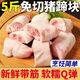 農(nóng)村散養(yǎng)新鮮帶筋豬蹄塊豬爪新鮮冷凍豬腳塊生豬腳圈 新鮮免切豬蹄塊5斤裝
