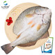 仙泉湖三去斑點尾鱸魚1斤單條凈膛后冷凍肉厚刺少 海鮮水產(chǎn)生鮮食材