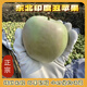 鮮姿印度青蘋(píng)果丑蘋(píng)果新鮮水果丑蘋(píng)果新鮮青蘋(píng)果時(shí)令水果整箱 5斤大果(單果75-80mm)