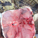魃鮮 新鮮鱷魚尾 帶皮肉 現(xiàn)殺鱷魚 人工養(yǎng)殖鱷魚食用鱷魚尾 3斤全皮尾巴肉【優(yōu)惠裝】