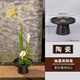 劍山插花器花插日式插花底座小原流花道中式插花創(chuàng  )意黑色禪意陶瓷花盆花盤(pán) 幽墨高腳盤(pán)20厘米+50毫米劍山 中等